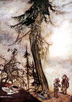 The Fir-tree And The Bramblea