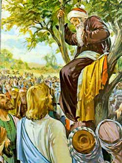 Zacchaeus Was Wee Little Man ( 3440 found